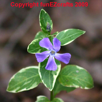 Easy paper crafts pin hole pictures blue vinca
