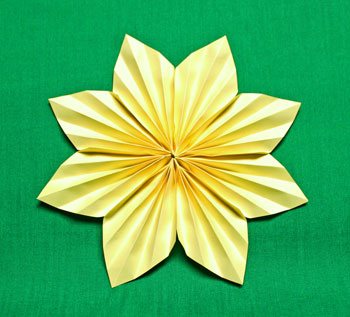 Pleated 8-Point Star