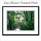 Spring Sun Shower Framed Print on the funEZ Bazaar